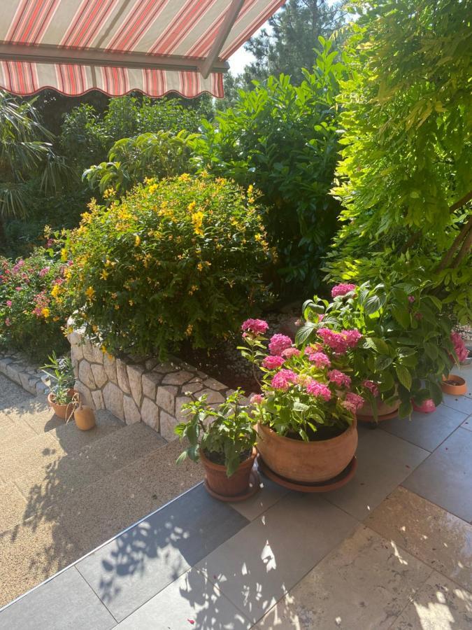 Apartment Jelena Криквеница Екстериор снимка